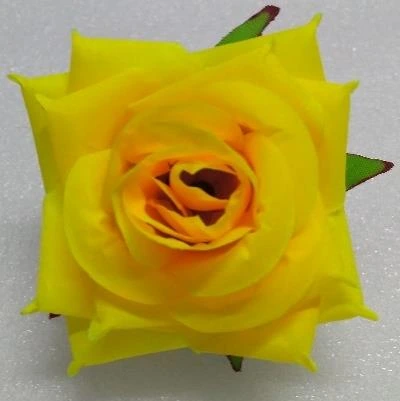 Rose Open Med.